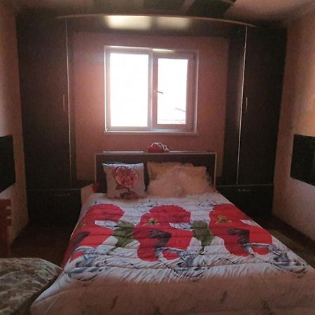 Diana City Center Rooms 基希讷乌 外观 照片